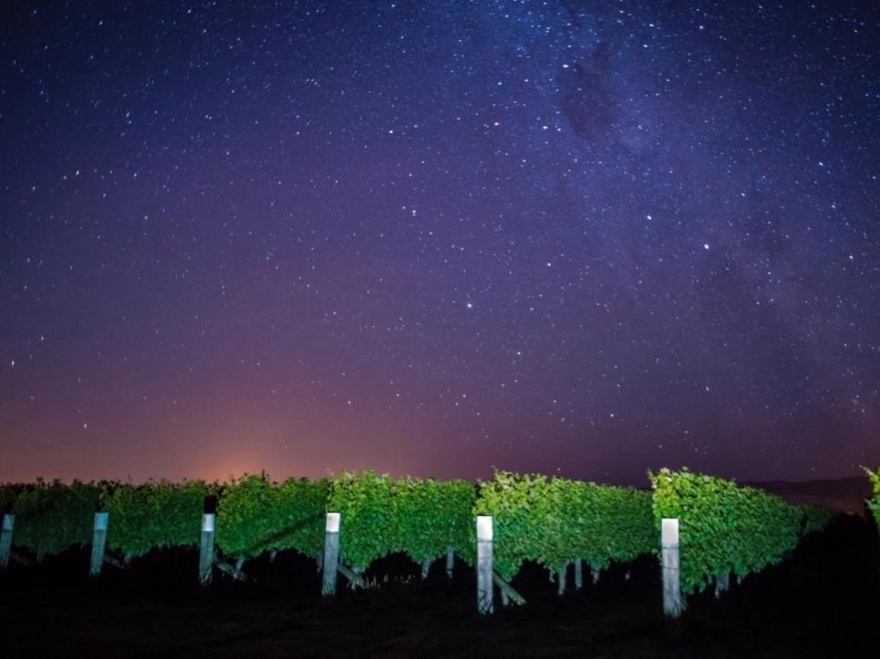 Marlborough Magic - Rapaura Holiday Home 布伦海姆 外观 照片
